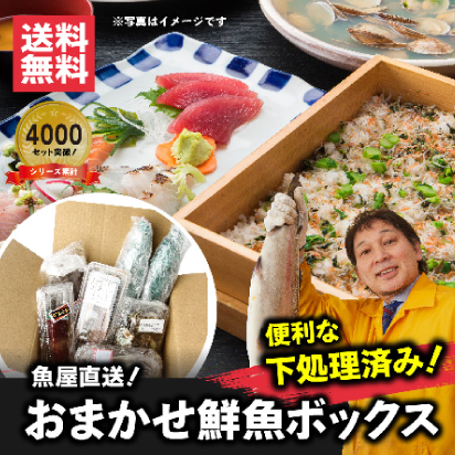 【おまかせ鮮魚BOX】